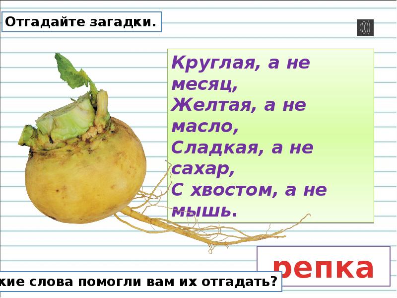 Придумайте свои загадки используя в них имена прилагательные нарисуйте к загадкам картинки