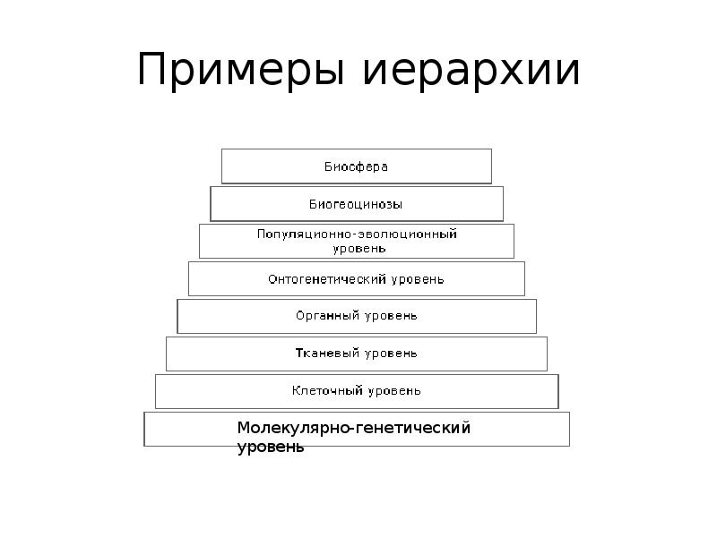 Ступени иерархии