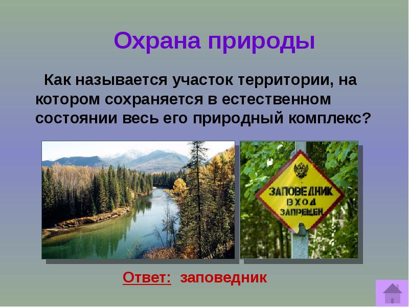 Презентация по теме охрана природы 5 класс