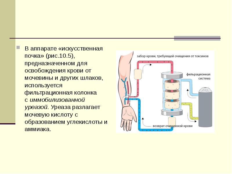 Искусственная почка. В аппарате «искусственная «почка» используется. Заправка аппарата искусственная почка. Аппарат очищающий кровь от мочевины. Синтетический аппарат включает.