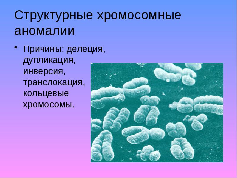 Хромосомные болезни картинки для презентации