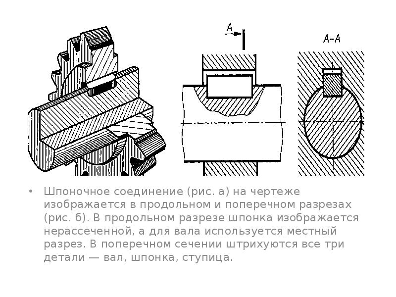 Эскиз шпоночного соединения