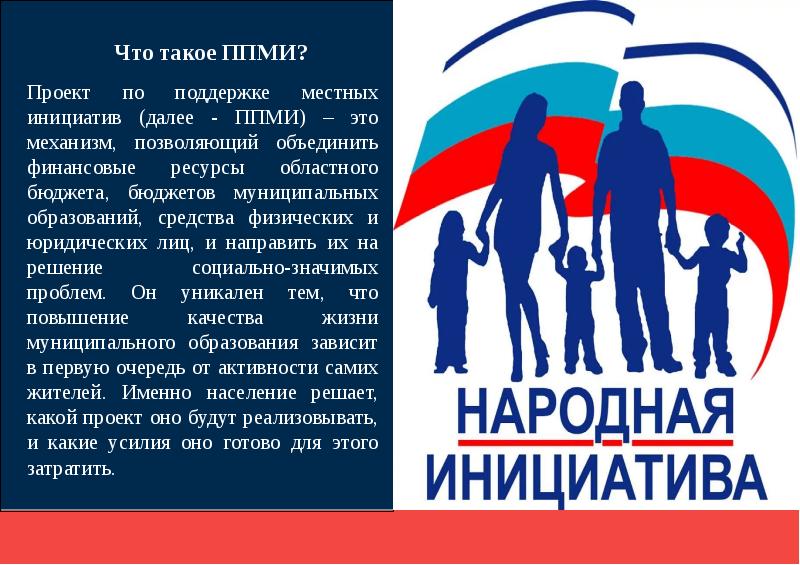 Народная инициатива проект