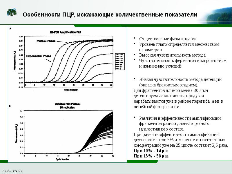 Изменение фрагментов. Графики ПЦР. Особенности ПЦР. График ПЦР. ПЦР количественный показатель.