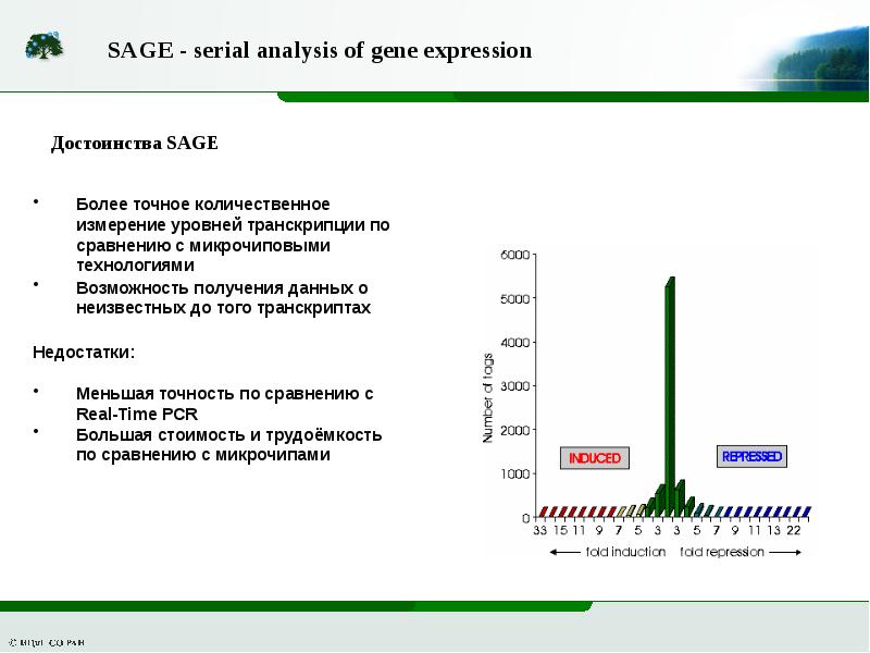 Изучение уровня цен. Sage серийный анализ генной экспрессии. ХМА экзонного уровня. ХМА экзонного уровня что показывает. ХМА экзонного уровня цена.