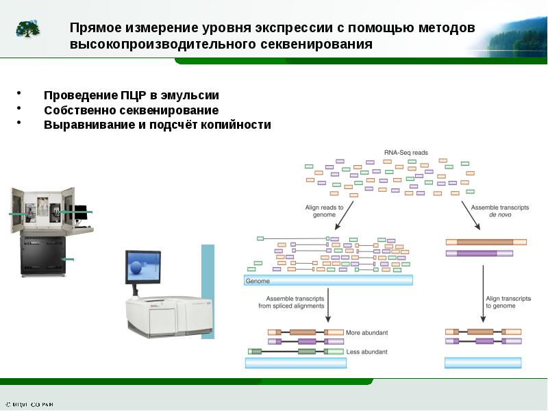 Метод экспрессии. Методика экспрессии. Графические Эталоны экспрессии. ХМА экзонного уровня.