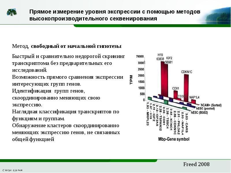 Экспрессивный уровень