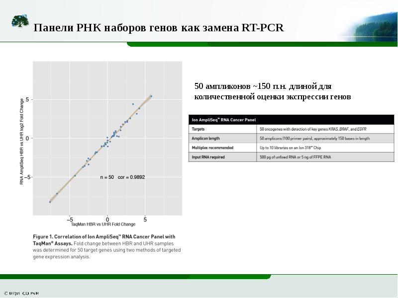 Определение уровня техники. ХМА экзонного уровня как выглядит анализ.