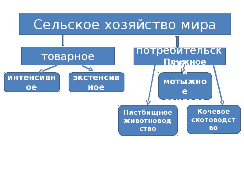 Структура сельскохозяйственная. Структура сельского хозяйства схема. Структура сельского хозяйства мира. Сельское хозяйство мира схема. Структура мирового сельского хозяйства схема.