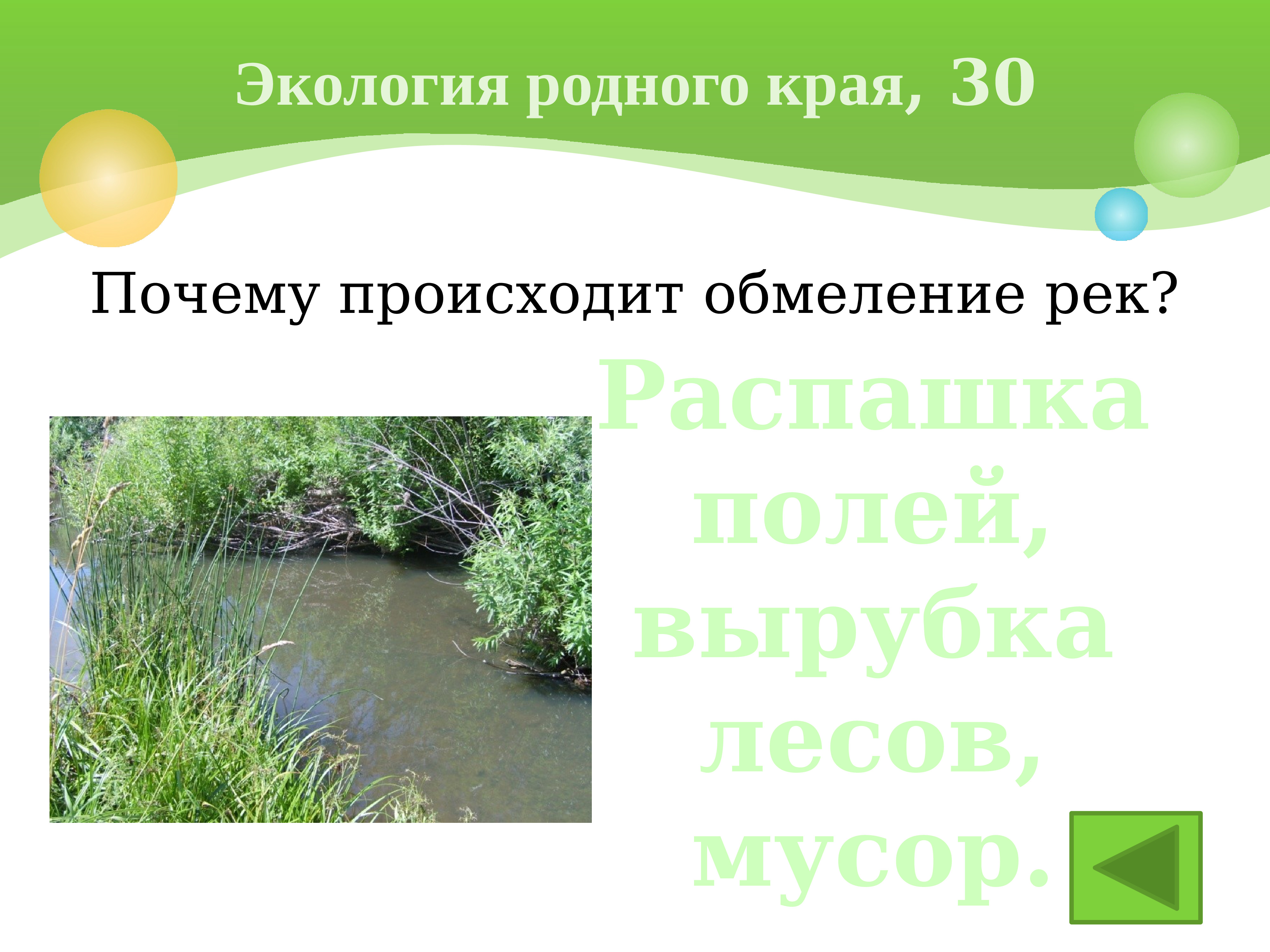 Почему край. Экология родного края. Экологика родного края. Презентация по экология родного края. Проект экология родного края.