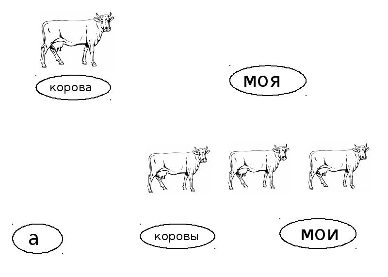 На рисунке изображены корова и свинья длина тела