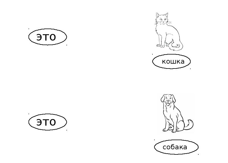 Домашние животные кошка собака презентация