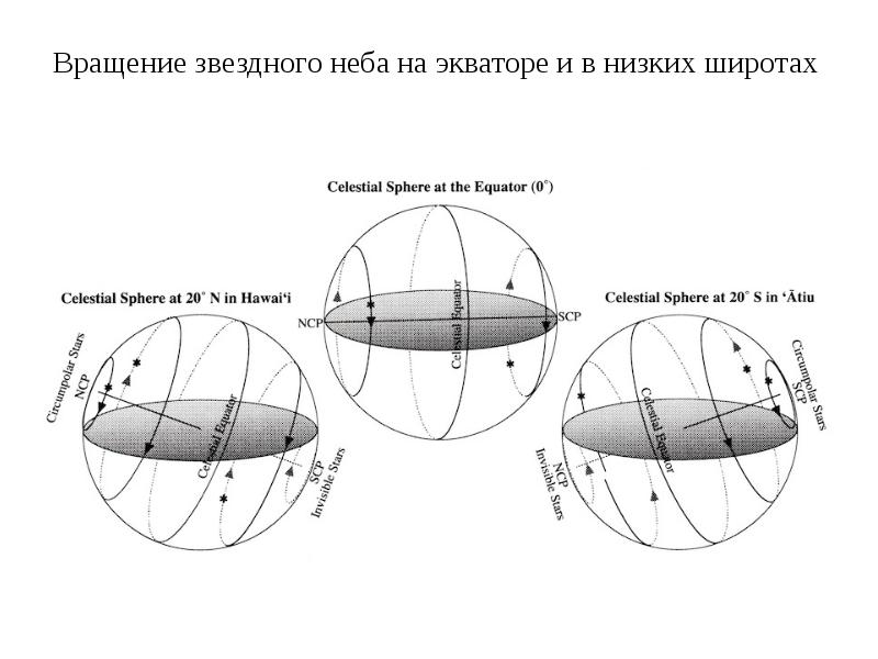 Видимое движение звезд на различных географических широтах презентация 11 класс