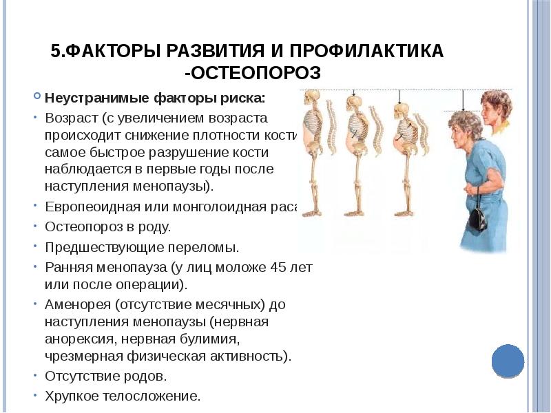 Анатомия и физиология опорно двигательного аппарата презентация