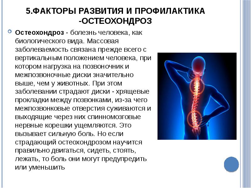 Анатомия и физиология опорно двигательного аппарата презентация