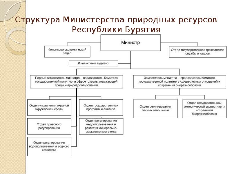 Структура министерства науки и высшего образования рф схема