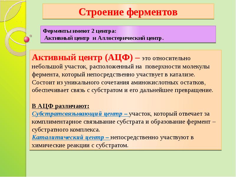 Презентация по ферментам