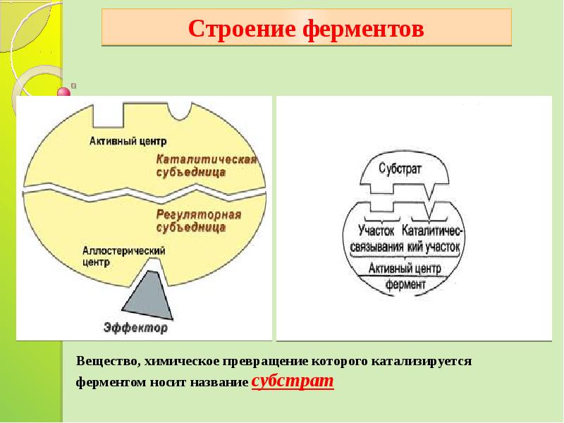 Презентация классификация ферментов