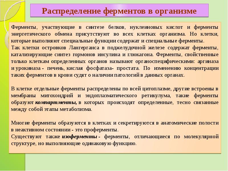 Ферменты участвующие в биосинтезе белка. В синтезе белка участвуют ферменты:. Правила работы с ферментами.