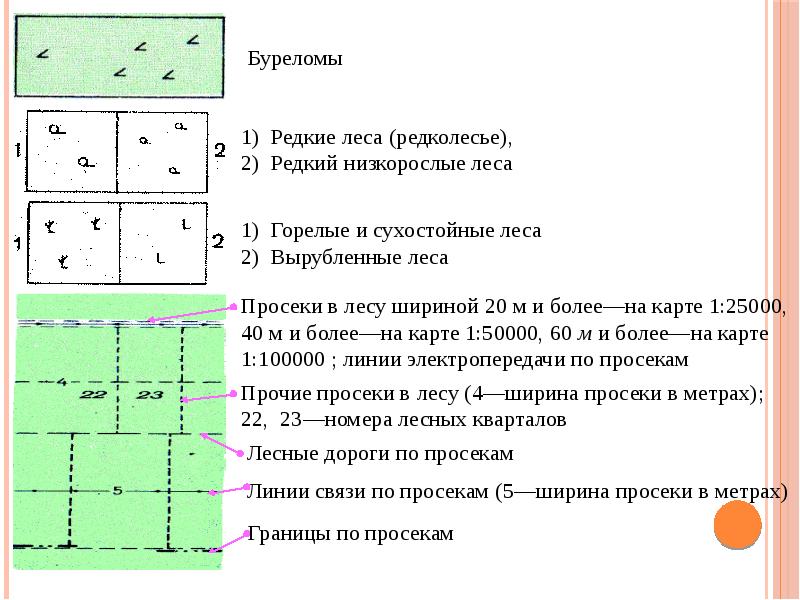 Топографические карты и их содержание презентация