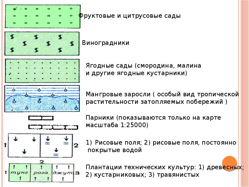 Топографические карты и их содержание презентация