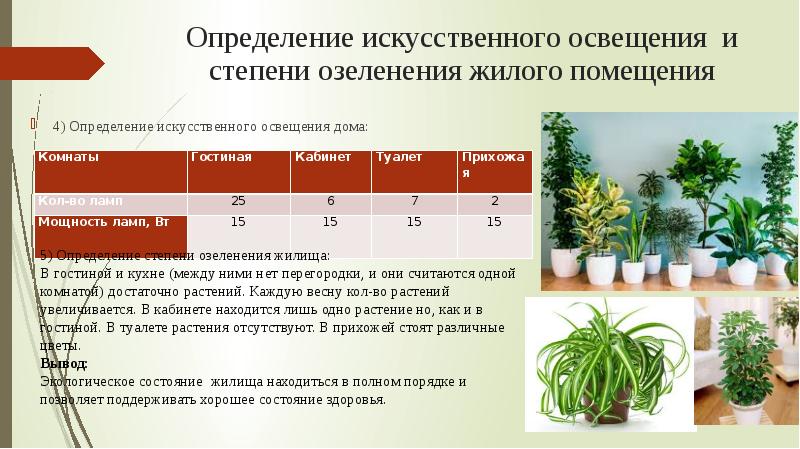 Оценка искусственного освещения. Измерение искусственного освещения. Измерение искусственной освещенности. Степень озеленения.