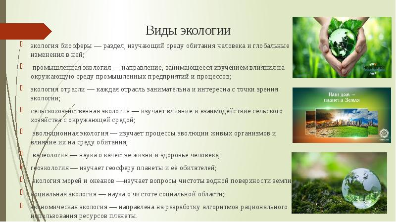 Виды окружающей среды. Виды экологии. Биосфера это в экологии. Экологические процессы. Виды экология биосферы.