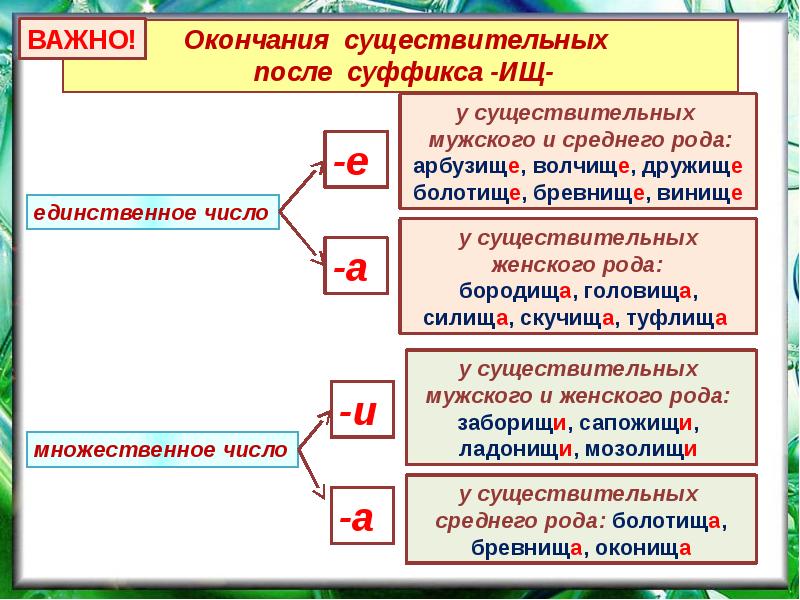 Суффиксы существительных презентация