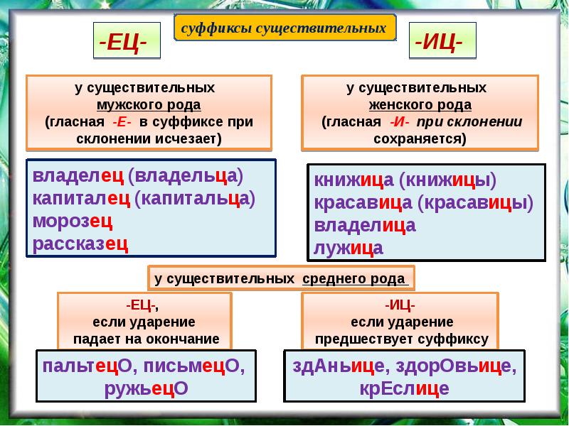 Правописание существительных 5 класс презентация