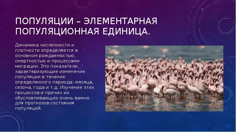 Популяционно видовой уровень общая характеристика виды и популяции 11 класс презентация