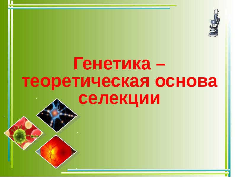 Генетика и селекция. Инфоурок селекция и методы и биотехнологии. Видеоурок по селекции. Знак селекции. Картинка селекция обложка.