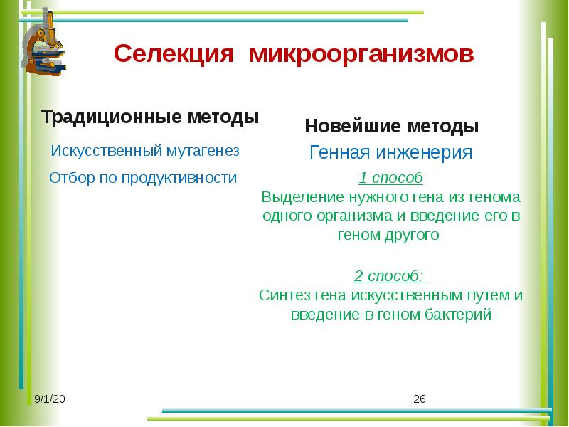 Методы селекции презентация 10 класс