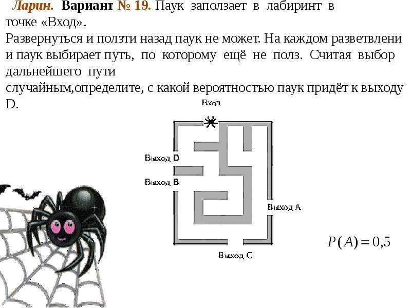 На рисунке изображен паук