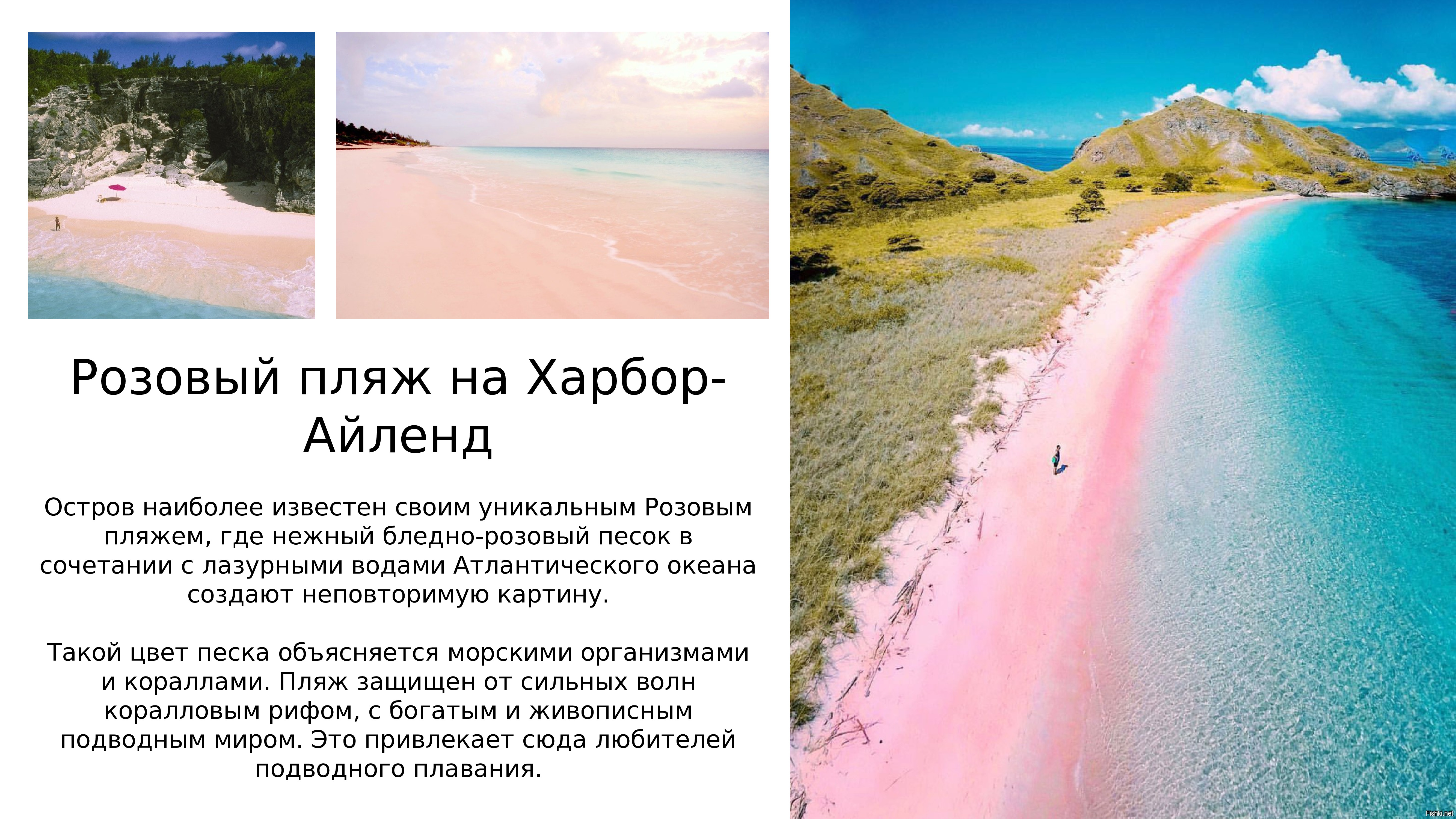 розовый пляж картинки