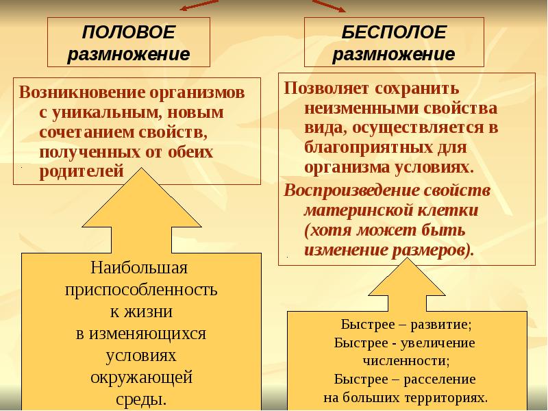 Появление у организма новых признаков