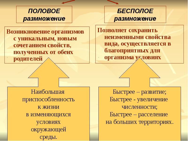 Происхождение организмов. Появление у организма новых признаков. При половом размножении возникают новые. Свойства вида сохраняются неизменными. Какие преимущества получили организмы с появлением тканей.