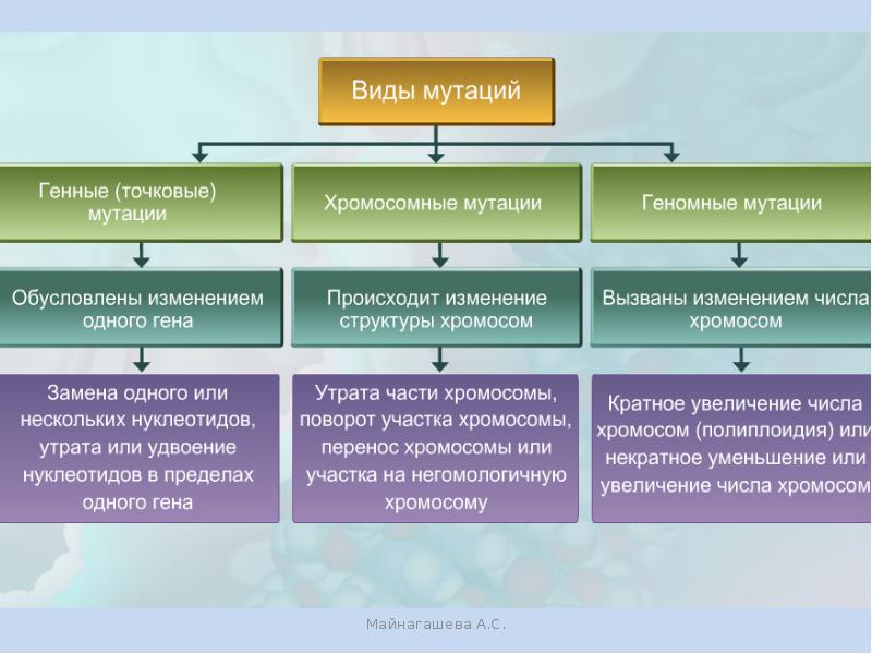 Типы мутаций рисунки