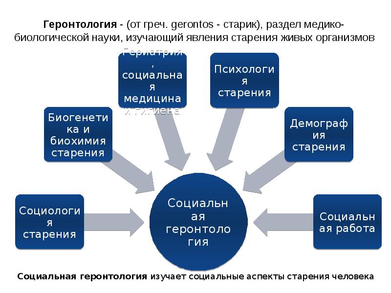What is exploit. Эксплоит. the exploited. эксплойт группа.