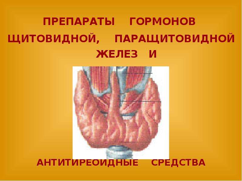 Гормоны паращитовидных желез. Препараты гормонов щитовидной и паращитовидных желёз. Гормоны щитовидной и паращитовидной железы. Препараты гормонов щитовидной железы паращитовидной. Препараты гормонов паращитовидной железы.