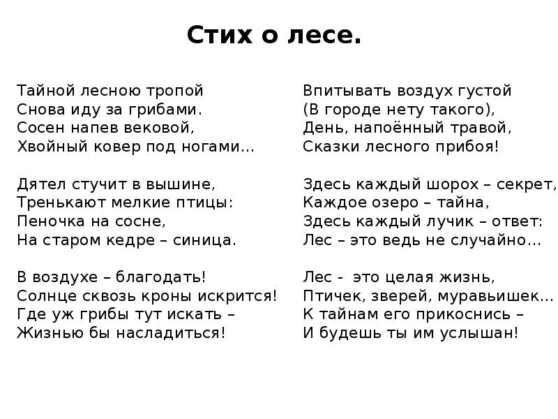 Проект на тему природное сообщество