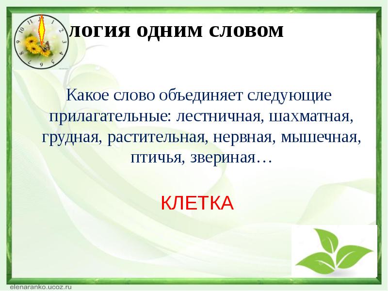 Объедините следующие. Биология одним словом. Какое слово объединяет следующие прилагательные. Какое слово объединяют следующие прилагательные лестничная. Какое слово объединяет прилагательные лестничная шахматная грудная.