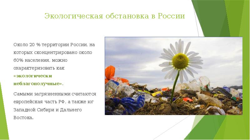 Сообщение экологические проблемы европейского юга. Экологические проблемы европейского юга.
