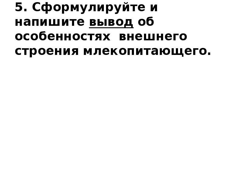 5. Сформулируйте и напишите вывод об особенностях внешнего строения млекопитающего. 5. Сформулируйте и напишите вывод об особенностях внешнего строения млекопитающего.