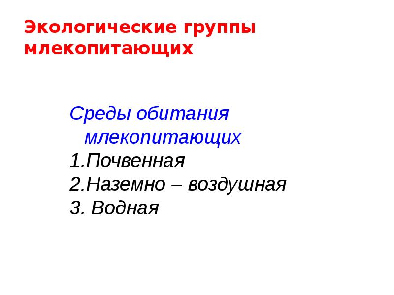 Экологические группы млекопитающих Экологические группы млекопитающих