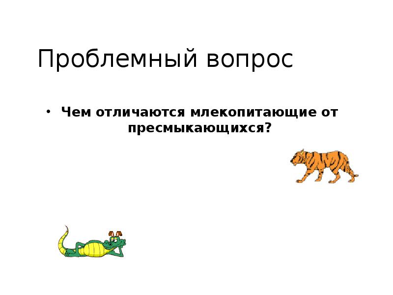 Проблемный вопрос
Чем отличаются млекопитающие от пресмыкающихся? Проблемный вопрос
Чем отличаются млекопитающие от пресмыкающихся?