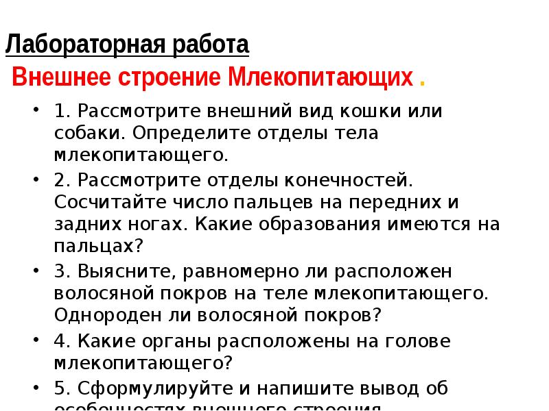 Лабораторная работа Внешнее строение Млекопитающих .
1. Рассмотрите внешний вид Лабораторная работа Внешнее строение Млекопитающих .
1. Рассмотрите внешний вид