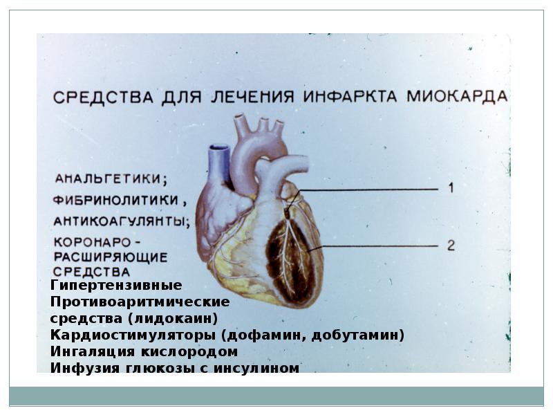 Средства влияющие на сердечно сосудистую систему презентация