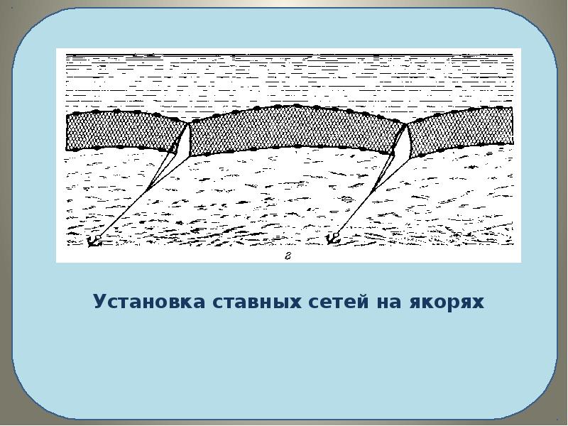 Как установить сеть. Схема установки сети на реке. Ставные сети. Как ставить сети. Установка сети на течении.