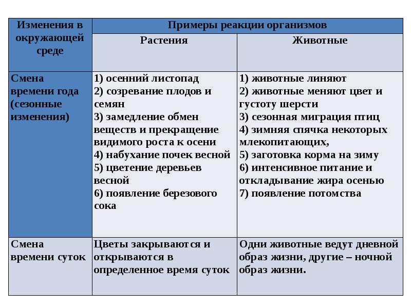 Раздражимость свойство живых организмов презентация