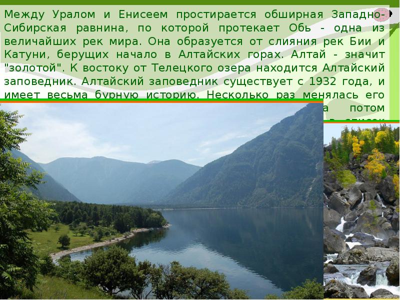 Алтайский заповедник презентация. Алтайский заповедник описание. Рассказ про Алтайский заповедник. Заповедники в России на равнине.